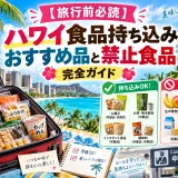 スーツケースに詰めた緑茶やカップ麺と、持ち込み可能な食品と禁止食品を分けた一覧