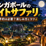 シンガポールのナイトサファリを楽しむイメージ